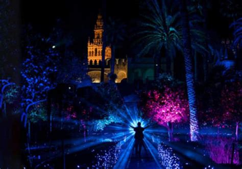 Qué hacer en Sevilla hoy, lunes 9 de diciembre de。